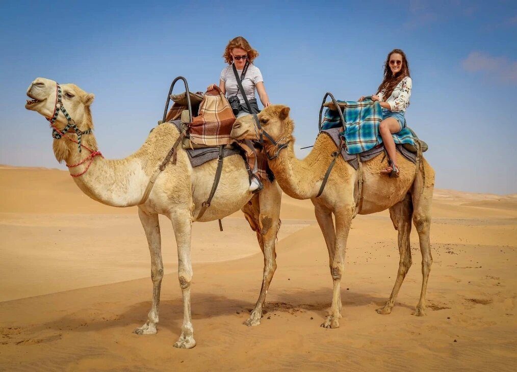 camel-ride